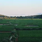 Korculaholidays